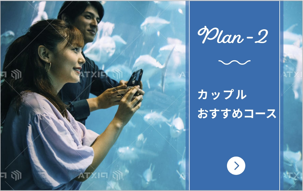 ショップのご案内